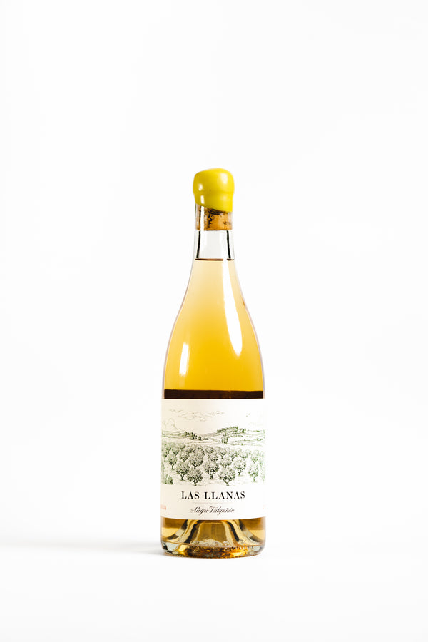 Alegre Valgañón Llanas Blanco