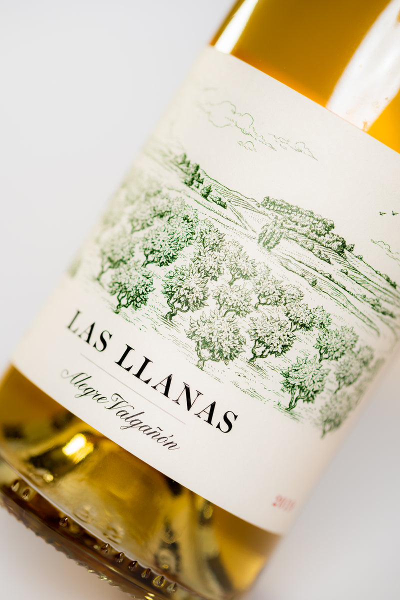 Alegre Valgañón Llanas Blanco